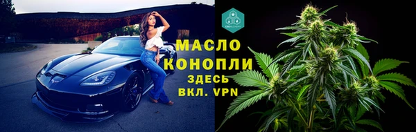 хмурый Абаза