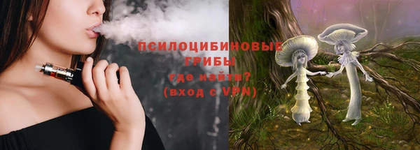 хмурый Абаза