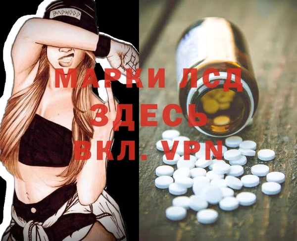 хмурый Абаза