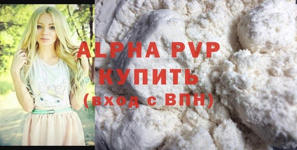 хмурый Абаза