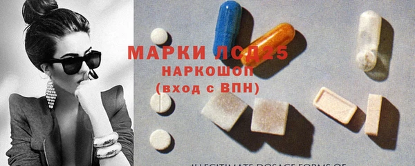хмурый Абаза