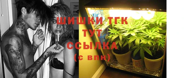 хмурый Абаза