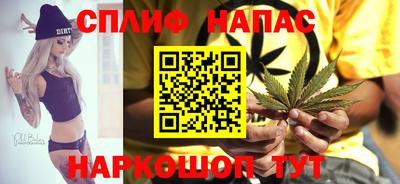шишки Ростов Великий