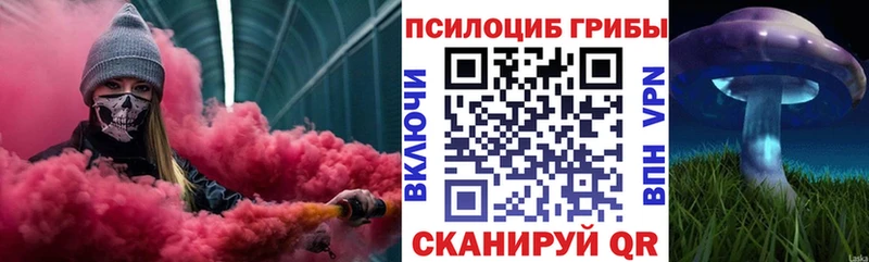 OMG как зайти  Балаково  Галлюциногенные грибы Magic Shrooms 