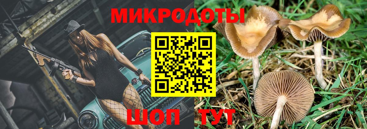 Балаково  Галлюциногенные грибы MAGIC MUSHROOMS  Вход с VPN 